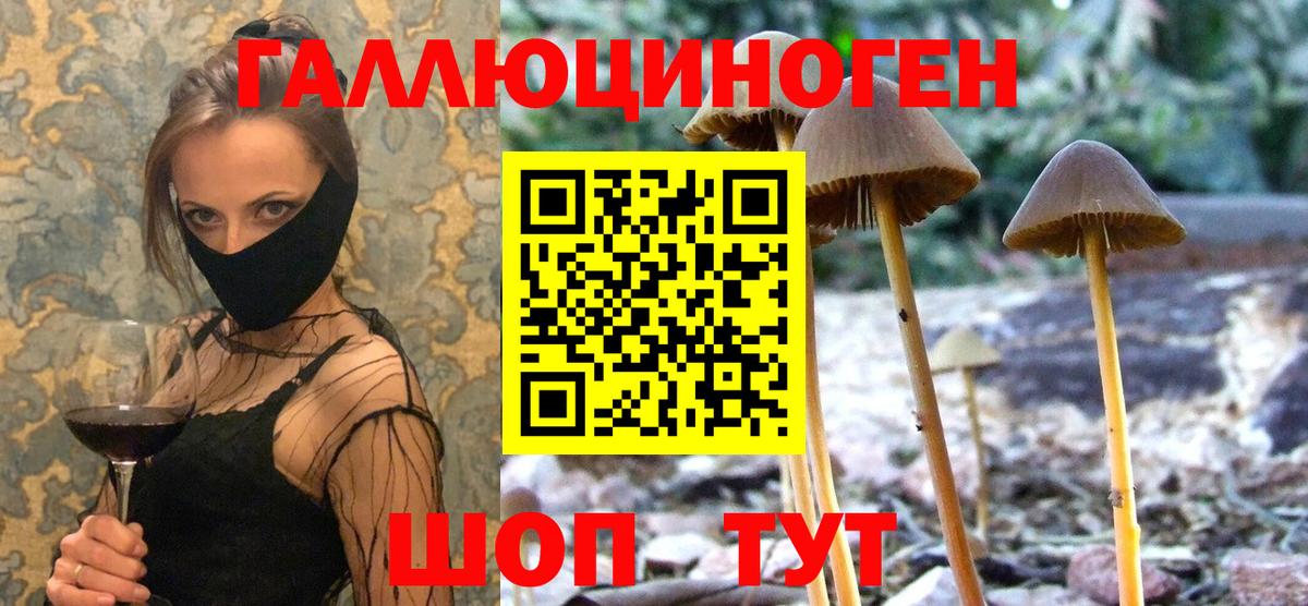 Галлюциногенные грибы MAGIC MUSHROOMS Светлоград