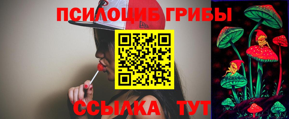 Галлюциногенные грибы Psilocybe  продажа наркотиков  Вход с VPN  Светлоград  Псилоцибиновые грибы GOLDEN TEACHER 